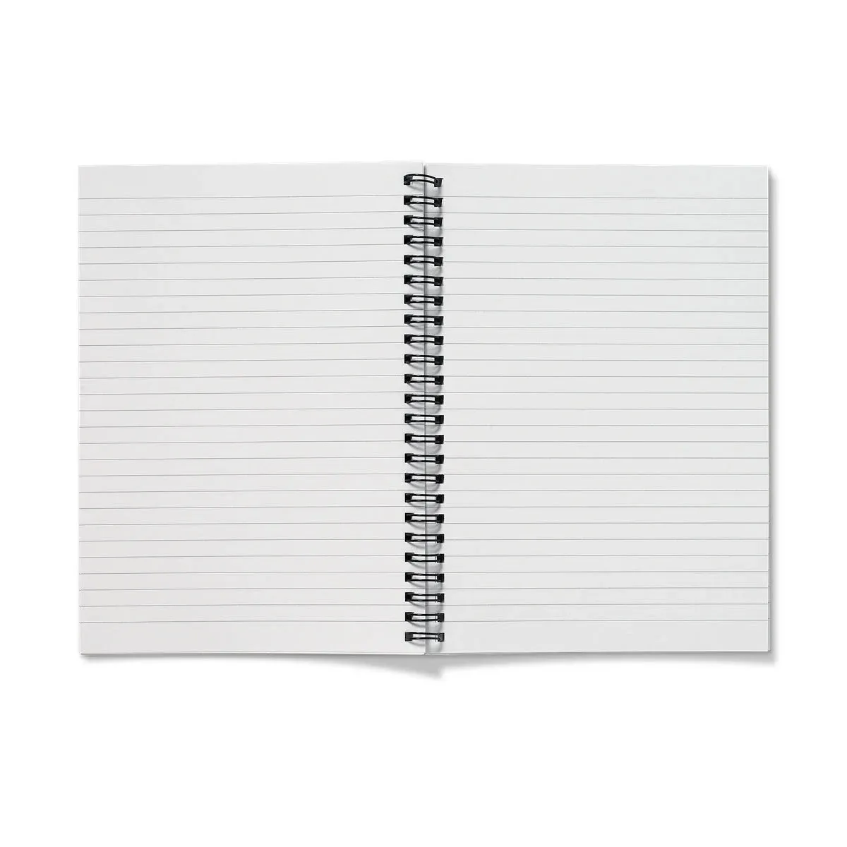 French Jewelry - Auguste Racinet Art Notebook