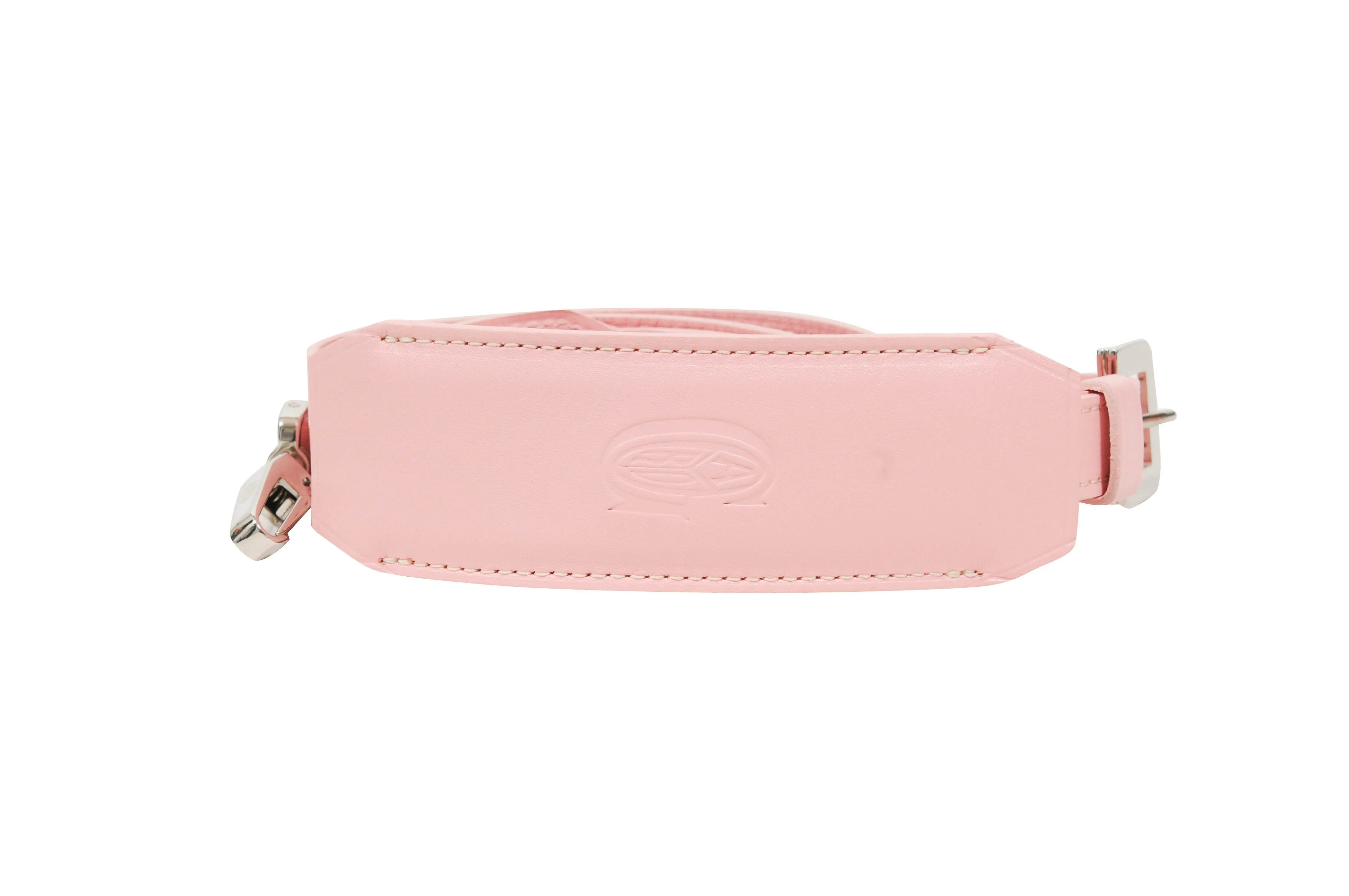 Goyard Pink Muse Vanity Case Trunk Crossbody Bag Purse