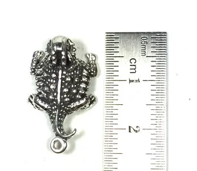 Horn Lizard, 2 pack, Sterling Charm,  24mm x 14mm, Horn Toad, old pawn element, southwest jewelry ornament